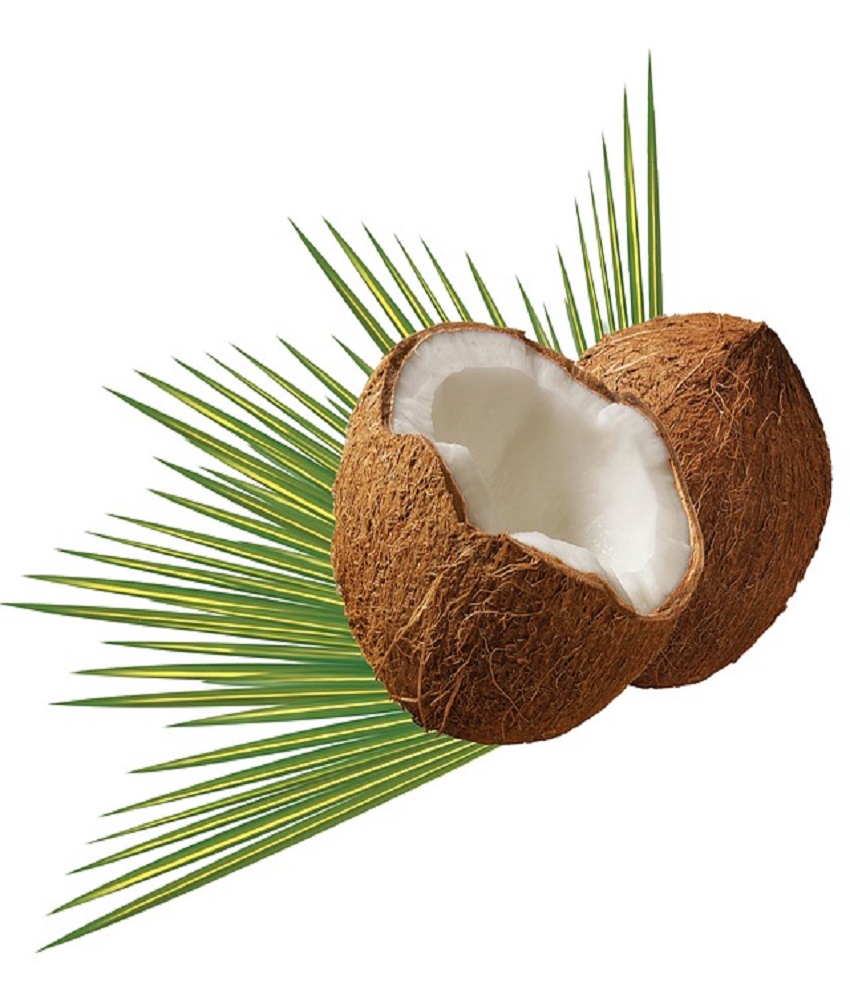 Coconut (Nariyal)                        