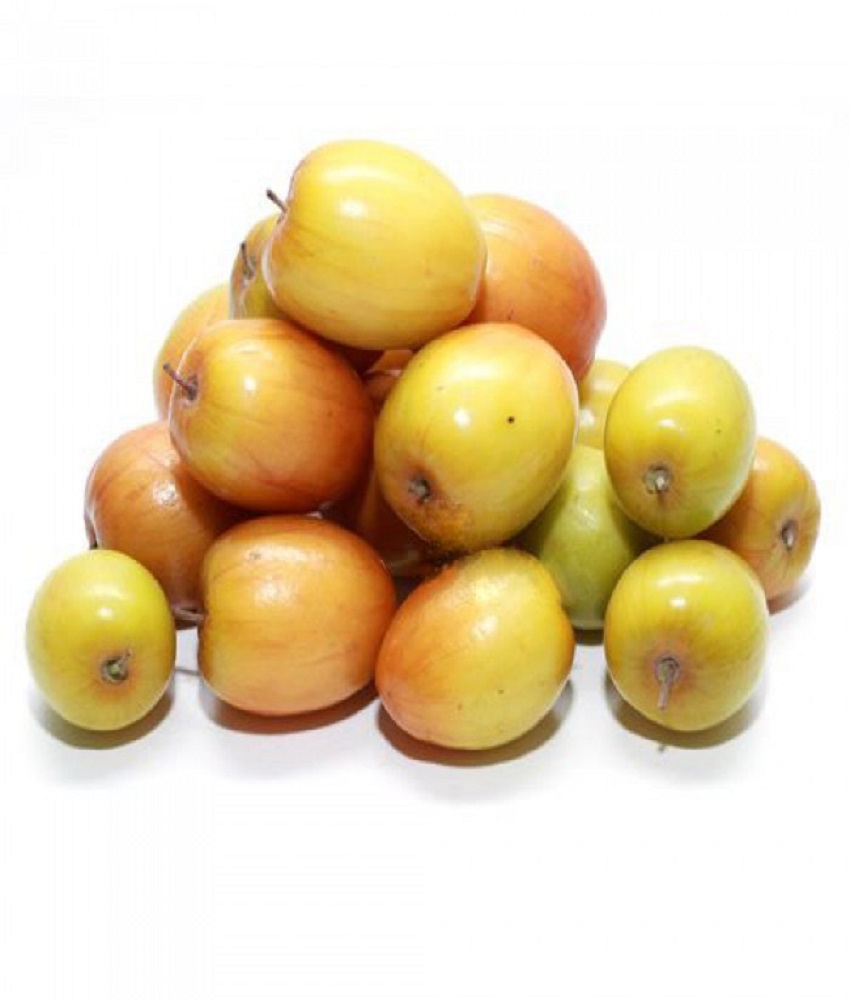 Plum hybrid (Ber)
