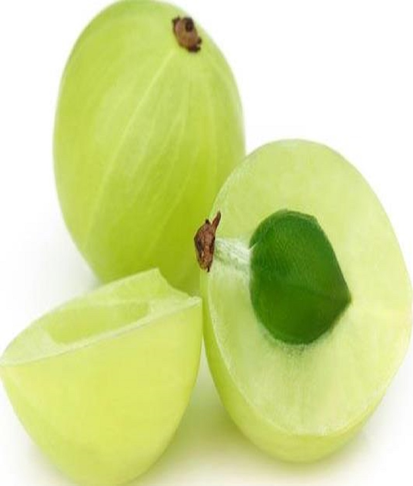 Gooseberry (Amla)