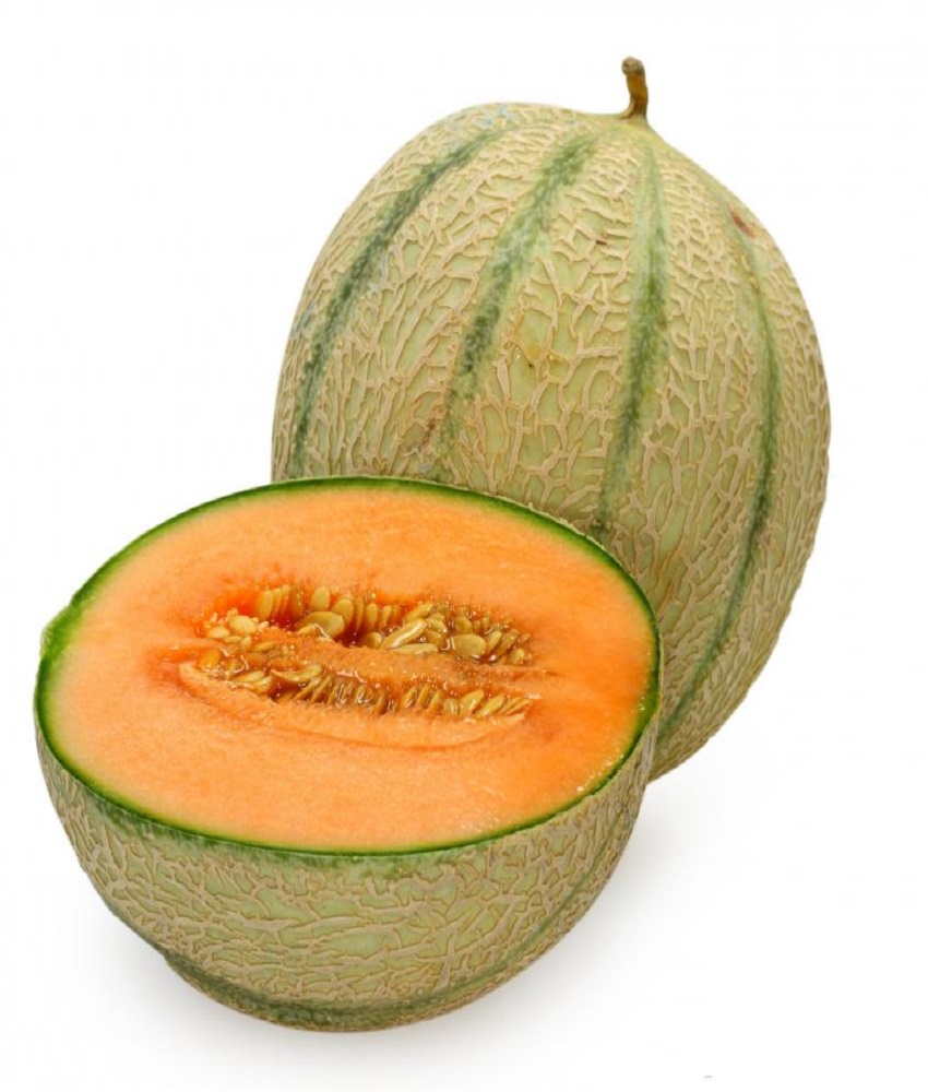 Muskmelon (Kharbooja)